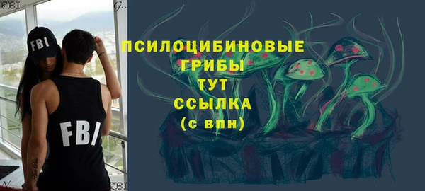 не бодяженный Нязепетровск