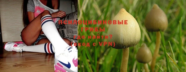 не бодяженный Няндома