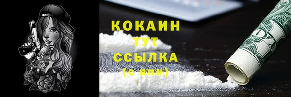 таблы Осинники