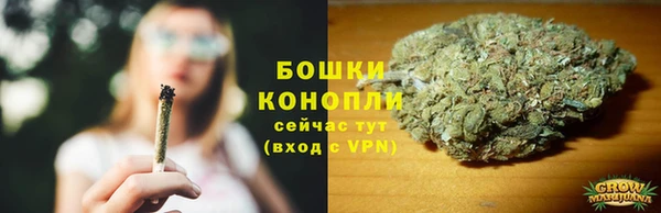 шишки Нягань
