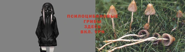 таблы Осинники
