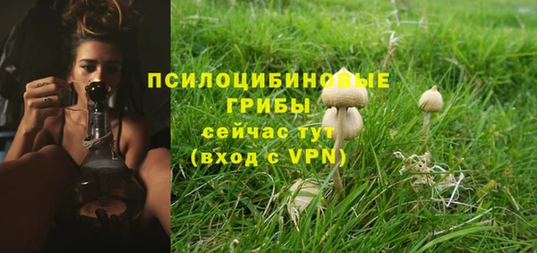 не бодяженный Няндома