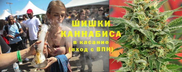 шишки Нягань