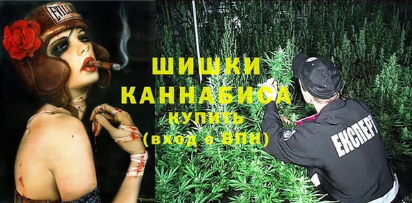 шишки Нягань
