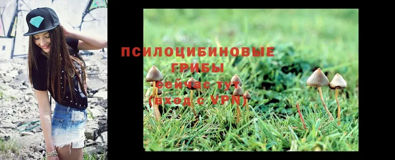 Галлюциногенные грибы Magic Shrooms  Кашин 